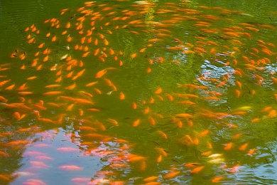 后末世风格生存撤离俯视角射击游戏《零希沃特》现已正式推出 获特别好评