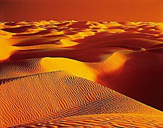 多人竞速《Make Way》公布 年内登陆全平台