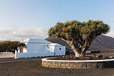 《怪物猎人：荒野》1.011更新详情 将减少显存占用